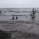 Gelombang Pasang Hantam Sembilan Perahu Nelayan di Situbondo, Kerugian Capai Rp60 Juta