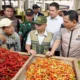 Harga Cabai Turun Tajam, Bapanas Siapkan Penyerapan Telur dan Daging Ayam untuk Stabilkan Pasar
