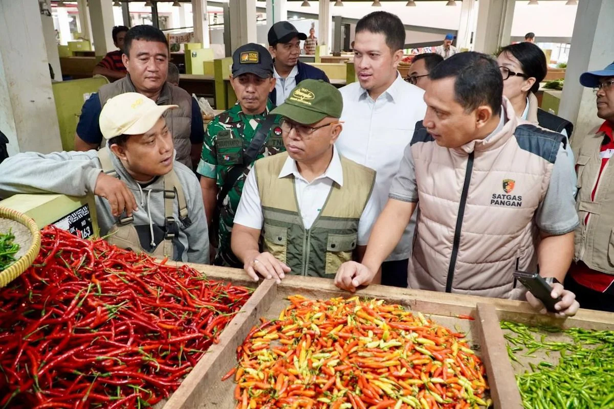 Harga Cabai Turun Tajam, Bapanas Siapkan Penyerapan Telur dan Daging Ayam untuk Stabilkan Pasar