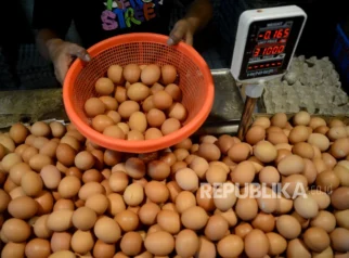 Harga Telur Anjlok, Peternak Desak Penyerapan Maksimal Lewat Program Pemerintah