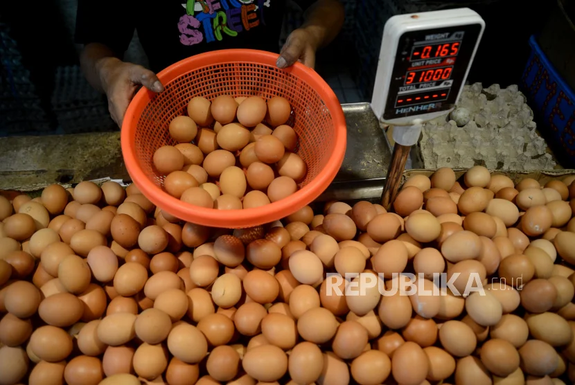Harga Telur Anjlok, Peternak Desak Penyerapan Maksimal Lewat Program Pemerintah