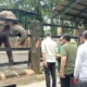 Insiden di Kandang Gajah: Anggota DPRD DKI Minta Ragunan Perkuat Pengawasan