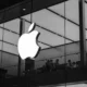 iPhone 18 Reguler Kemungkinan Tak Akan Diluncurkan Tahun Ini, Apple Fokus pada Model Premium