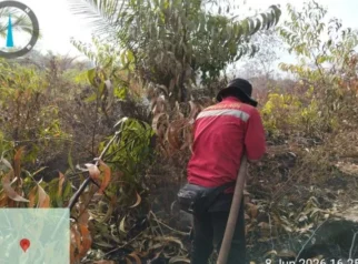 Karhutla 108 Hektare di Pulau Rupat Riau Berhasil Dipadamkan oleh Tim Manggala Agni