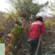 Karhutla 108 Hektare di Pulau Rupat Riau Berhasil Dipadamkan oleh Tim Manggala Agni