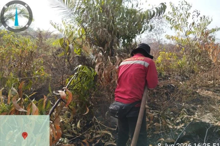 Karhutla 108 Hektare di Pulau Rupat Riau Berhasil Dipadamkan oleh Tim Manggala Agni