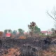 Karhutla Bakar 2.000 Meter Persegi Lahan di Arak-arak, Bondowoso