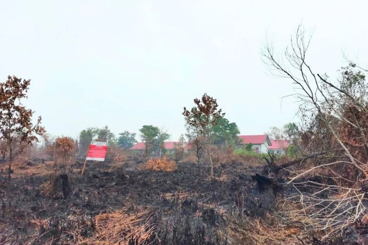 Karhutla Bakar 2.000 Meter Persegi Lahan di Arak-arak, Bondowoso
