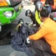 Kecelakaan Maut di Ampel Surabaya, Perempuan 57 Tahun Tewas di Lokasi