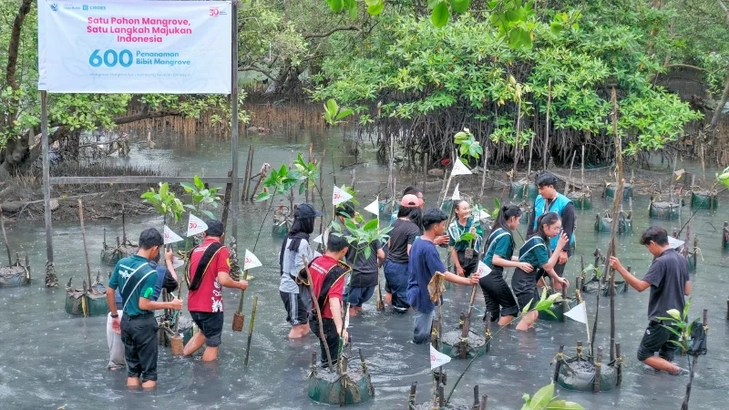 Kemendikdasmen Dorong Sekolah Peduli Lingkungan Melalui ASRI LPP RRI: Tanam Mangrove di Balikpapan
