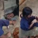 Kisah Tragis di Balik 'Sate Maut' dan Ayam Mati di Lumbung Listrik