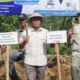 LPDB Kawal Hilirisasi Tebu: Koperasi Kunci Swasembada Gula Nasional