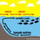 Mengenal Upwelling: Fenomena Alam yang Menyuburkan Laut Indonesia dan Menjamin Ketahanan Pangan