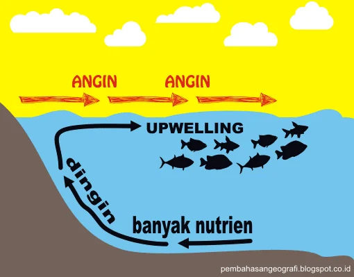 Mengenal Upwelling: Fenomena Alam yang Menyuburkan Laut Indonesia dan Menjamin Ketahanan Pangan