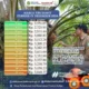 Mentan Amran Minta Harga TBS Sawit Naik Minimal 10 Persen, Begini Respons Pengusaha