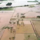 Pemerintah Pulihkan 9.931 Hektare Sawah di Sumatra untuk Perkuat Ketahanan Pangan Nasional