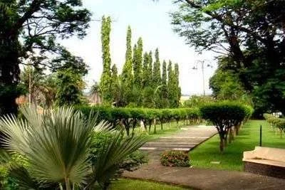 Pentingnya Ruang Terbuka Hijau di Perkotaan: Solusi untuk Lingkungan Sehat