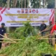 Polda Kepri Bongkar Peredaran Ganja dari Aceh, Satu Tersangka Diamankan