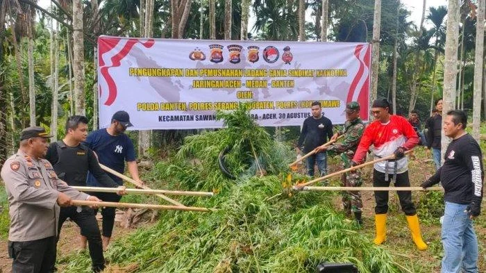 Polda Kepri Bongkar Peredaran Ganja dari Aceh, Satu Tersangka Diamankan