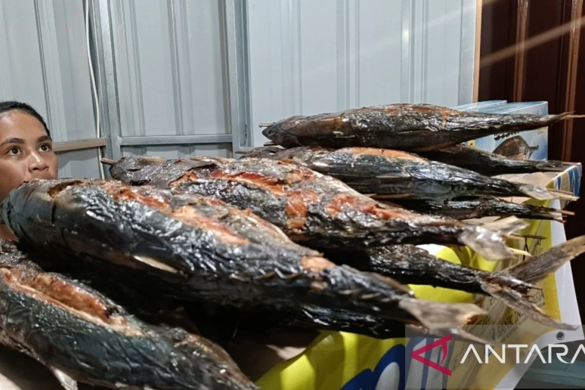 Program MBG Jadi Penggerak Konsumsi Ikan dan Kesejahteraan Nelayan Papua LPP RRI