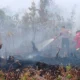 Puluhan Hektare Lahan di Pulau Rupat Terbakar, Manggala Agni Lanjutkan Pemadaman Karhutla 108 Hektare