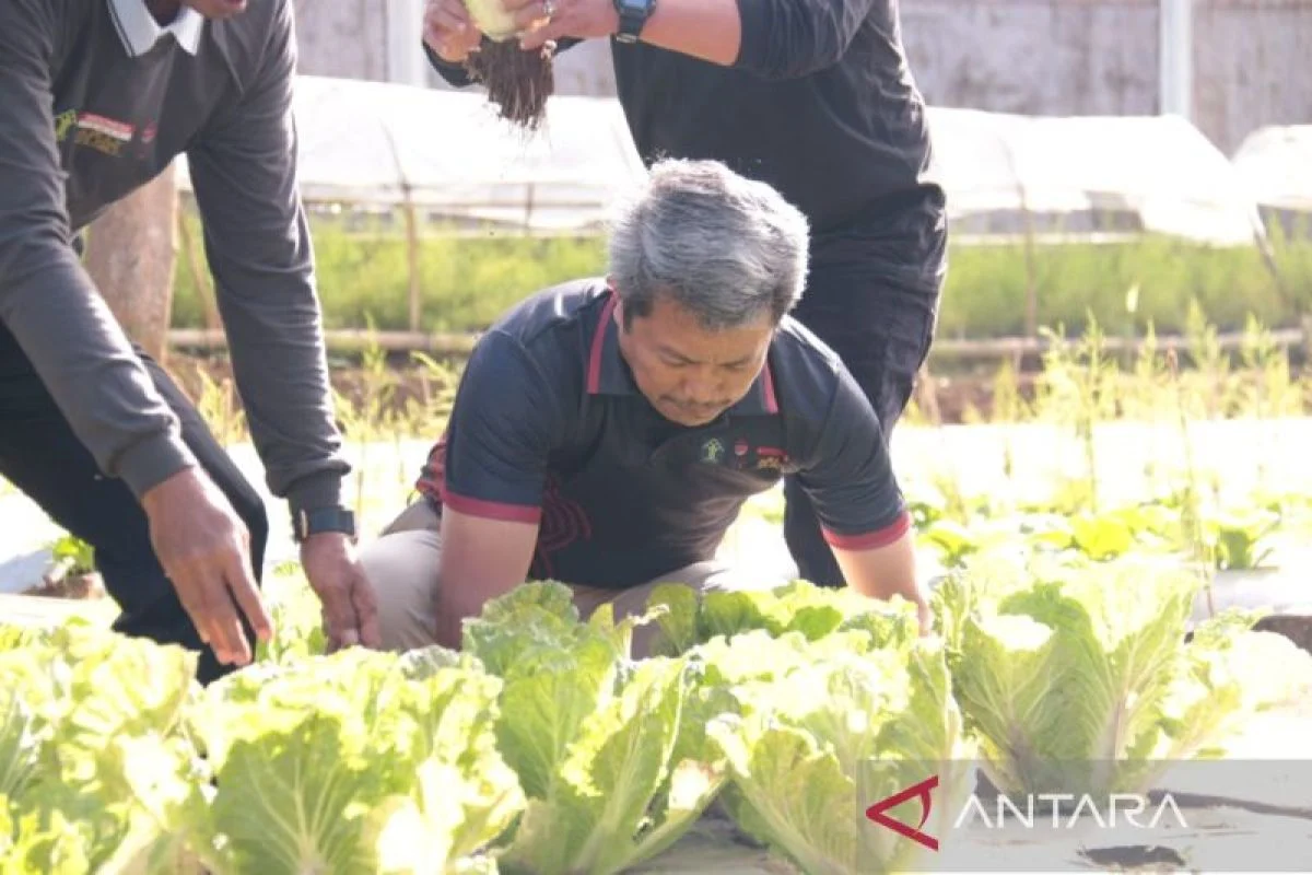 SAE Paswangi Banyuwangi Jadi Lokasi Penyuluhan Petani LPP RRI: Warga Binaan Lapas Ikut Belajar Pertanian