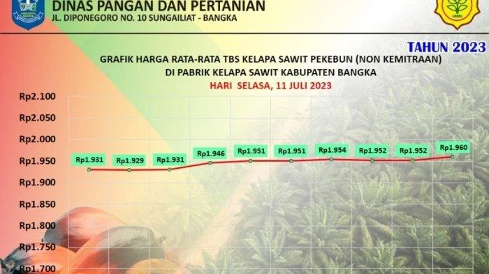 Satgas Pangan Usut Dugaan Kartel di Balik Anjloknya Harga TBS Sawit, KPPU Dilibatkan