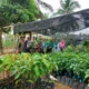 Tingkatkan Ekonomi Melalui Berbagi Bibit Durian di Lumajang, Polsek Ranuyoso Dukung Penuh Program Pertanian