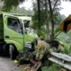 Truk Muat Wortel Masuk Jurang di Wringin, Sopir Selamat Berkat Keputusan Tak Melompat