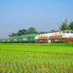 Volume Angkutan Perkebunan KAI Naik 7,78 Persen, Dorong Efisiensi Logistik Nasional