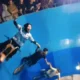 Aksi Berani Putri Hipnotis Penonton Tong Setan Lhokseumawe