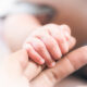 Bayi Baru Lahir Ditemukan di Toilet Kereta Api Sancaka: Kronologi dan Respons Cepat Petugas