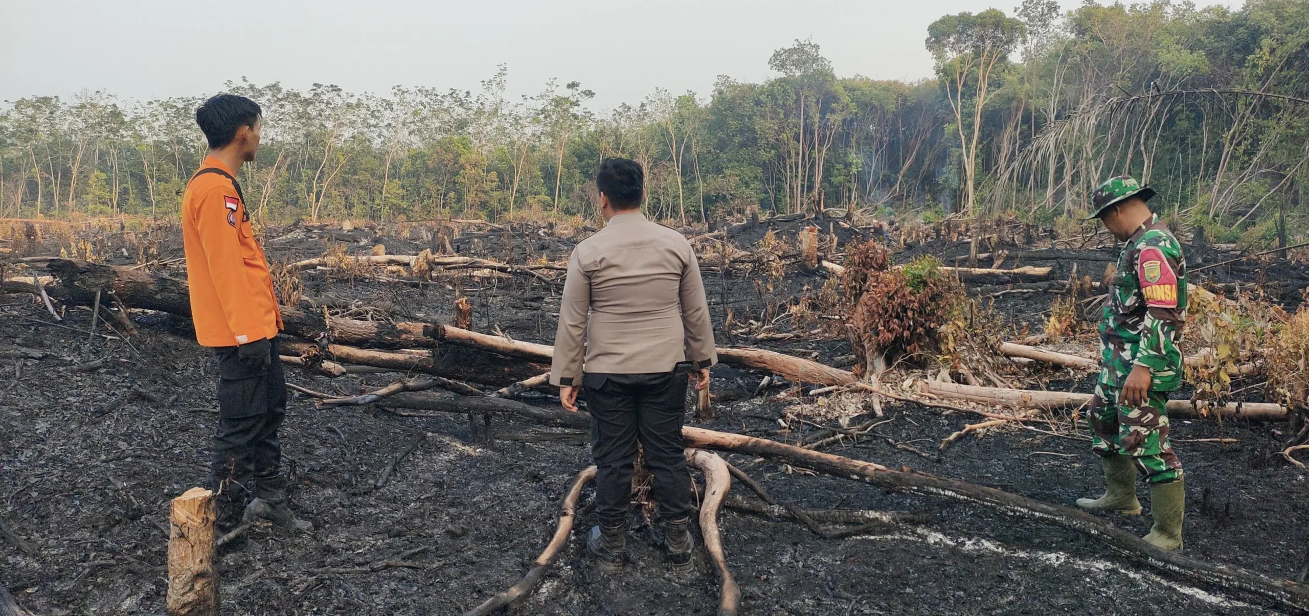 BPBD Muba Catat 179 Titik Panas, BPBD Muba Perkuat Mitigasi