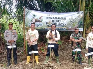 Bupati Singkil Ajak Warga Lestarikan Sagu untuk Ketahanan Pangan