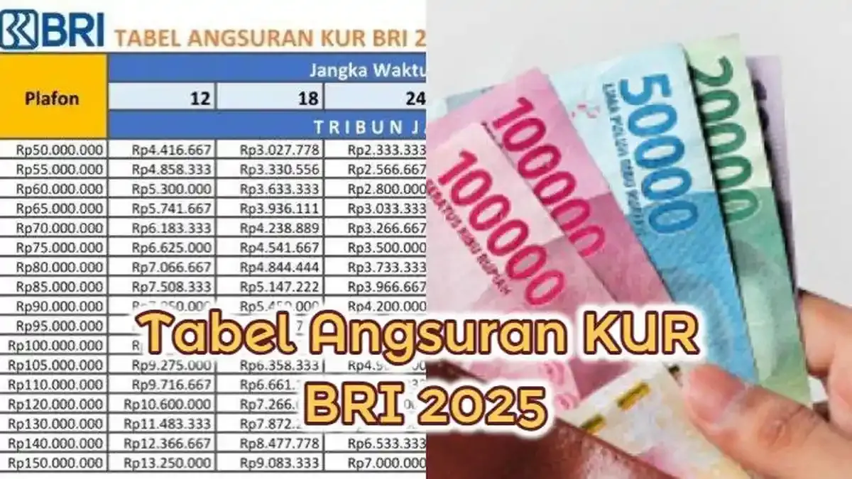 Cicilan Makin Ringan? Ini Dia 5 Cara Cek Angsuran KUR BRI dan Take Over KPR Terbaru