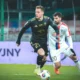 Fenerbahçe vs Pogoń Szczecin: Peringatan Keras untuk Górnik Zabrze