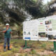 Industri Kelapa Sawit Pangkalan Bun Sumbang Rp 1,7 Triliun ke Negara hingga Juli 2026