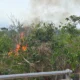 Karhutla Hanguskan Sekitar Satu Hektare Lahan di Atu Lintang, BPBD Imbau Warga Tak Bakar Lahan