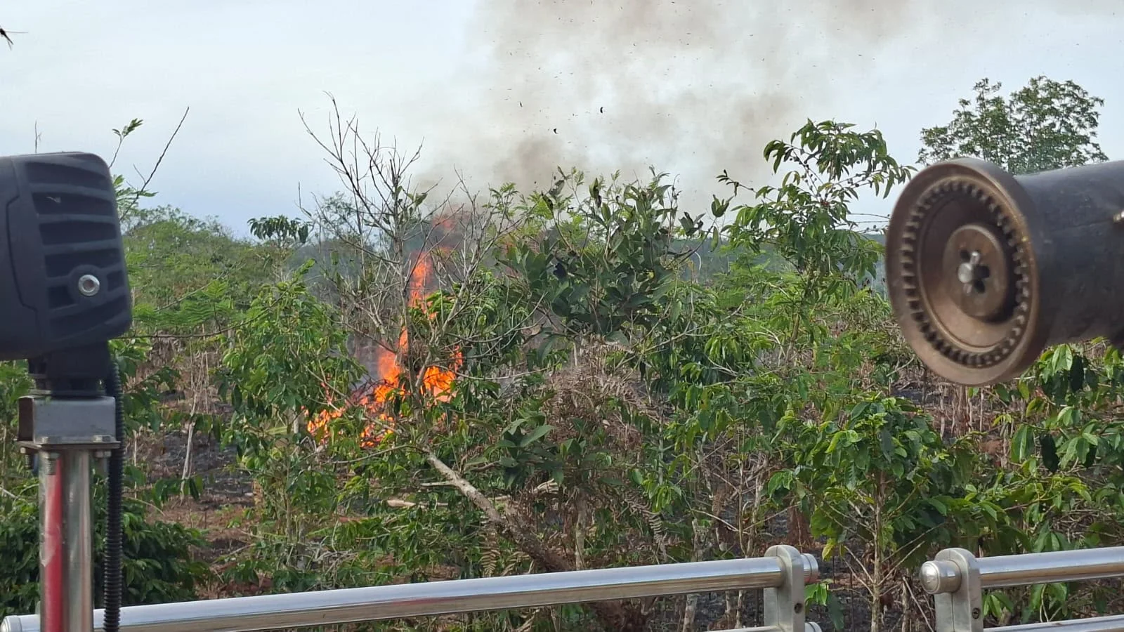 Karhutla Hanguskan Sekitar Satu Hektare Lahan di Atu Lintang, BPBD Imbau Warga Tak Bakar Lahan