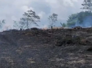Kebakaran Lahan di Pintu Rime Gayo Berhasil Dipadamkan, Petugas Temukan Titik Api Tertua