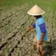 Ketahui Wilayah-Wilayah Paling Terdampak El Nino Sepanjang 2026 Menurut BMKG