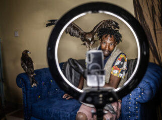 Kisah 'Manusia Burung Nairobi': Aktivis Lingkungan yang Hidup Berdampingan dengan Burung Liar