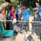 KUA Gapura Matangkan Persiapan Verifikasi Arah Kiblat jelang Istiwa A'zam 2026