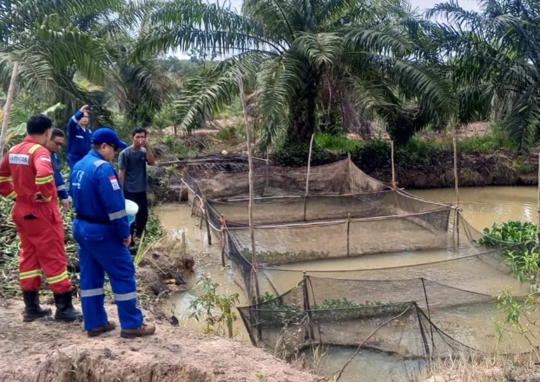 Medco EP Kembangkan Budidaya Lele untuk Perkuat Ekonomi Warga Muba