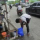 Meski Tren Berubah, Usaha Ikan Hias di Palembang Tetap Bertahan