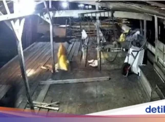 Misteri Kematian Dokter Residen di Siak hingga Harimau Nyaris Terkam Warga: Kilas Balik Peristiwa Pekan Ini