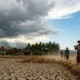 Musim Kemarau 2026: Petani Berinovasi, Pemerintah Siaga, dan Masyarakat Bersatu Hadapi Krisis Air