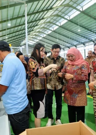 Pabrik Kemasan Kaleng Hadir di Banyuwangi, Gubernur Khofifah Akan Perkuat Industri Subtitusi Impor
