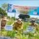 Panen Bawang di Beringin, Si Pandai Siap Jamin Pasar dan Harga Petani Deli Serdang