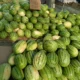 Panen Melimpah, Harga Semangka di Tingkat Petani Turun: Petani Berharap Pasar Lebih Luas